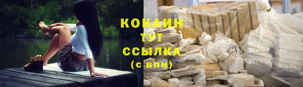 тгк Каменск-Шахтинский