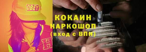 дурь Каменка