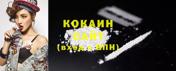 тгк Каменск-Шахтинский