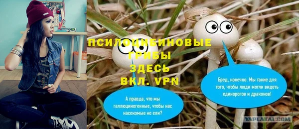 дурь Каменка