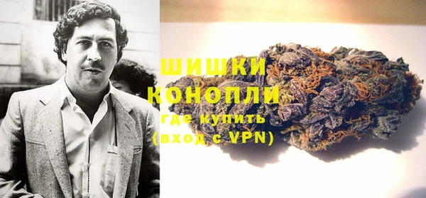 дурь Каменка