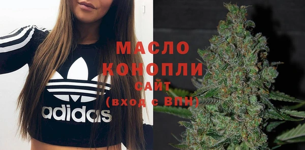 дурь Каменка