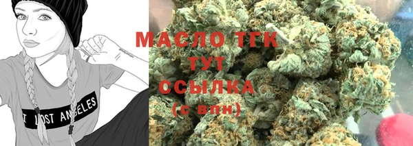 дурь Каменка