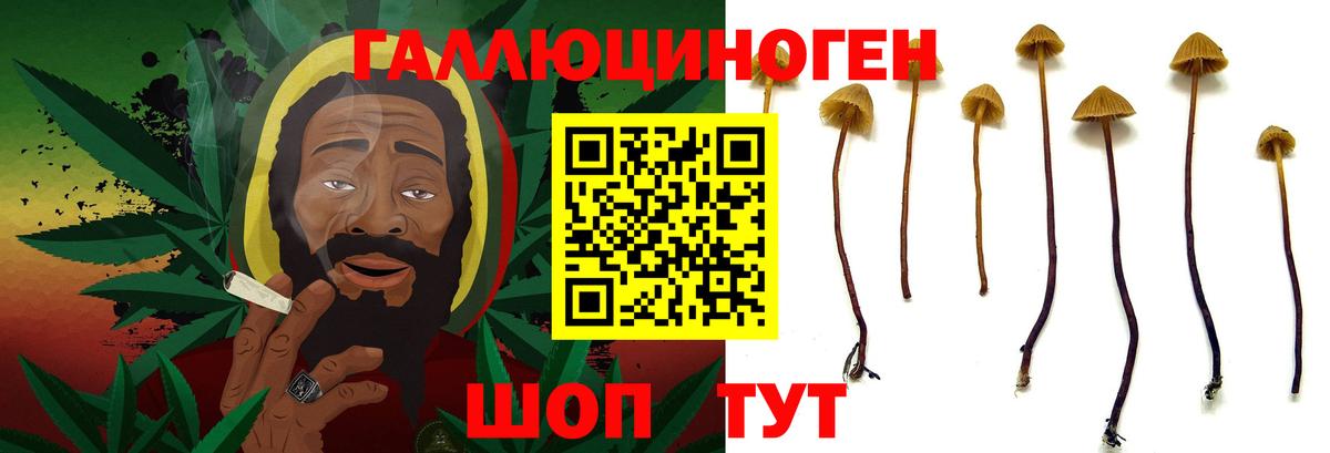 Галлюциногенные грибы прущие грибы  Галлюциногенные грибы Cubensis  Вход с VPN  Лабытнанги 